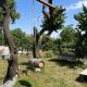 Toneh Guest House and Gastro-yard, Lernarot (photo 8)