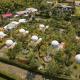 Orange Eco Villas, Quimbaya (fotografie 9)