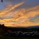 A place to create dreams, Naranjo (fotografie 2)