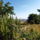 mansio maritima, Moresco (fotografie 7)