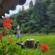 Cabana Valea Muntelui, Poiana Mărului (fotografie 3)