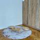 Romantic Old Town centre apartment, Praha - Fotografie 2