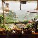Dalat Memories Home, Ấp Xuân An (fotografie 5)