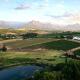 The Log Collective, Stellenbosch