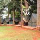 Explorers River Camp Jinja - Zdjęcie 3