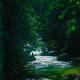 Villa Sapphire by Blue Robin - Private Taiping Villa 20pax River & Waterfall, Taiping (Foto 9)