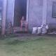 Belmoro Transient House, Bacacay (foto 9)