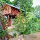 Farming Tree House, Sigiriya - Fotografie 2