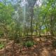 The Shamba, Kilifi (fotografie 2)