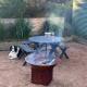 Pet friendly beach cottage in Victoria, Paradise Beach (foto 8)