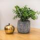 Elegant Dimitra, Your Beautiful Home in Athens, by Acropolin, Athen - Foto 6
