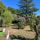 La maison aux oiseaux - Luberon, Oppède (foto 4)