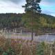 Gautefall ski senter, Bjørnetoppen, Drangedal (zdjęcie 9)