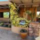Serene & Secluded - Heart of the Sonoran Desert Bunkhouse Casita Scottsdale - Foto 2