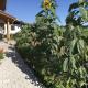 Log cabin Green Heart, Buching (foto 5)