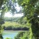 Woodlands Looe - Fotografie 2