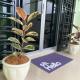 Rumah Homestay, Kangar (zdjęcie 5)