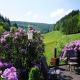Exclusive group house in Winterberg in the forest, Winterberg (fotografie 4)