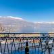 Apartment Blue Lake by Interhome, Bellano (fotografie 10)