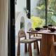 3BR Tropical Villa with Pool & Lush Garden Oasis, Canggu (photo 10)
