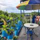2BR Condo Rental,Toril, Davao City (Foto 5)