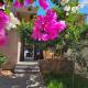 sweet home, Algier (Foto 4)