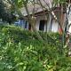 Airee Mini House, Bang Tao Beach (foto 6)