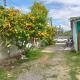Airee Mini House, Bang Tao Beach (foto 5)