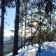 Wildlife Appartement - Wilderness Adventures Sweden, Bispgården (фото 7)