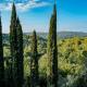 Provence villa with large pool and amazing view, Montauroux (foto 6)
