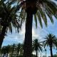 Apartman Leoni 1 linea, Salou (photo 6)