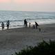 Grand Beach Villa, Kannur (foto 3)