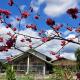 Sunny House I, Guilin (fotografie 3)