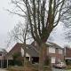 B&B Op de Bongerd, de Tiny House beleving!, Winssen (fotografie 2)