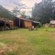 Eco Resort Laos, Nongkhiaw (photo 5)