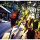 Stunning Cabin in Splendid Surroundings Cap Corse, San-Martino-di-Lota (foto 6)