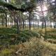 Luxury Retreat with Pool - By Traum Ferienwohnungen, Kongsmark (foto 6)