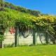 Hidden Gem in Oaklands Napier - Photo 7