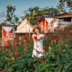 แคมป์ปิ้ง Rose, Pong Yaeng (fotografie 4)