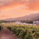 Villa on 5 Acre Vineyard Equestrian Estate, Pool & Hot tub, Events, Murrieta (fotografie 3)