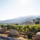 Villa on 5 Acre Vineyard Equestrian Estate, Pool & Hot tub, Events, Murrieta (fotografie 8)