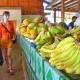 Stay with Luisa - Homestay Experience, Nadi - Foto 8