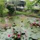 บ้านเพื่อนโฮมสเตย์, Ban Muang (1)