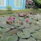 บ้านเพื่อนโฮมสเตย์, Ban Muang (1) (zdjęcie 2)