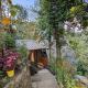 Mochileros Cherry Tree House, Pelling - Fotografie 2