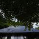 OMOYA総領 時を紡ぐ茅葺きの宿 - Thatched inn that spins time - Supported by COCOSTAY, Shōbara