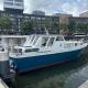 Luxury Houseboat, Amsterdam (photo 2)