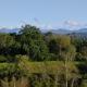 Ferienwohnung, Wangen im Allgäu