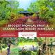 The Orchard Resort & Spa Melaka I World Spa Awards Winner I Free Access to Outdoor Spa Pool