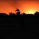 LoWes Africa, The Waterberg Biosphere